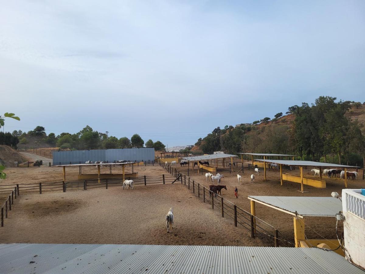 Finca Palmers Dos Mijas Εξωτερικό φωτογραφία